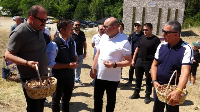 Karabük'te Safran Hasadının Başladığı Anlar