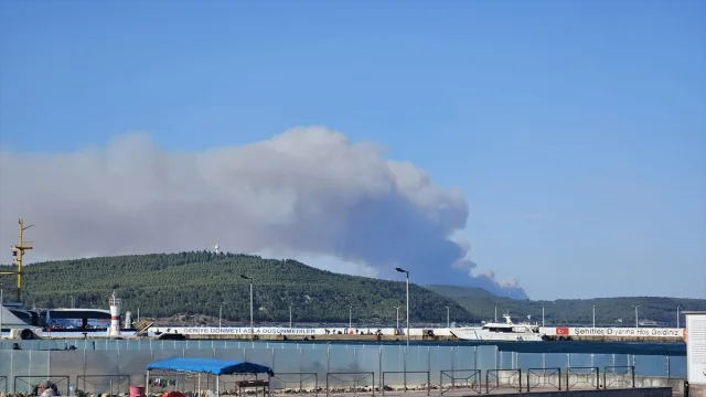 Gelibolu'da Orman Yangını: Alevler Kontrol Altına Alınmaya Ç...