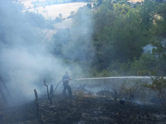 Sinop'u Sarsan Orman Yangını: Ekipler Hızla Müdahale Ediyor