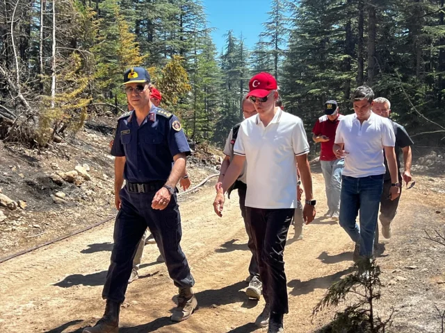 Karaman’da Orman Yangınları: Vali Çiçekli'den Kritik İncelem...