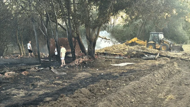 Bolu'da Anız Yangını Kontrolden Çıkınca Felakete Yol Açtı