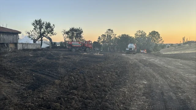Bolu'da Anız Yangını Kontrolden Çıkınca Felakete Yol Açtı