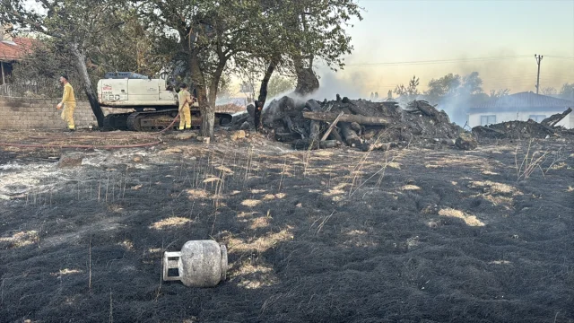 Bolu'da Anız Yangını Kontrolden Çıkınca Felakete Yol Açtı
