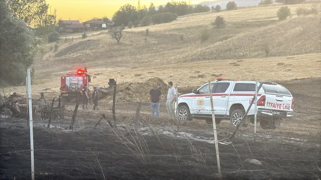 Bolu'da Anız Yangını Kontrolden Çıkınca Felakete Yol Açtı