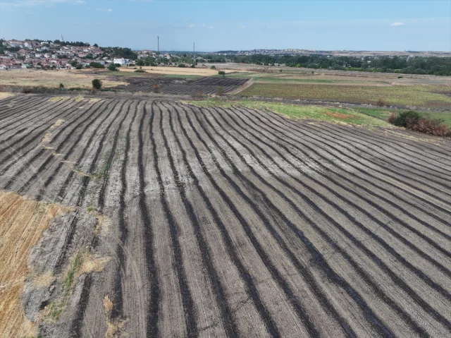 Anız Yakmanın Gizli Tehlikeleri: Toprağı Çöle Çeviriyor