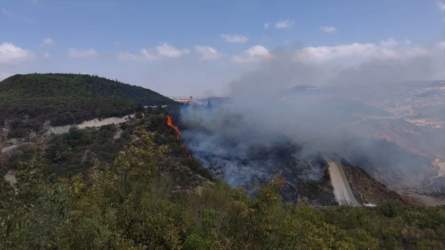 Hatay Yayladağı'ndaki Orman Yangını Korkuttu: Kontrol Altına Alındı