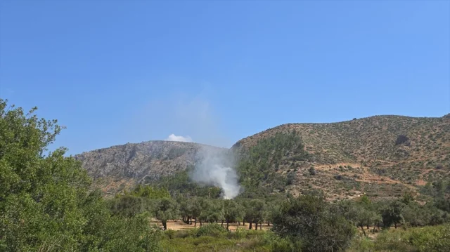 Bodrum'da Korkutan Yangın Hızla Kontrol Altına Alındı