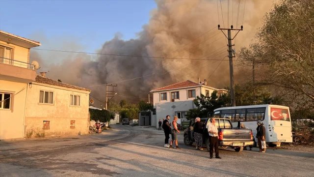 Gelibolu'da Orman Yangını: Alevler Kontrol Altına Alınmaya Çalışılıyor