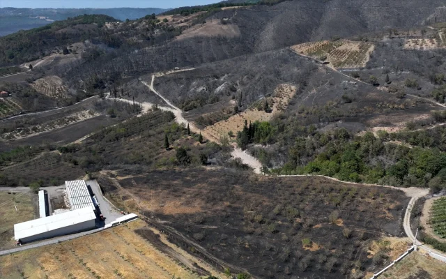 Kocaeli'de Orman Yangını Konusu: Havadan Çekilen Görüntülerl...