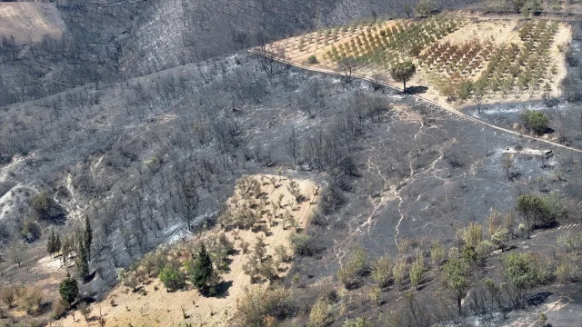 Kocaeli'de Orman Yangını Konusu: Havadan Çekilen Görüntülerle Felaketin Boyutu Ortaya Çıktı