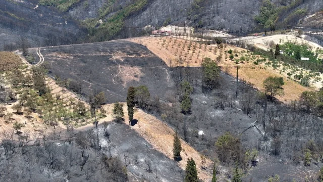 Kocaeli'de Orman Yangını Konusu: Havadan Çekilen Görüntülerle Felaketin Boyutu Ortaya Çıktı