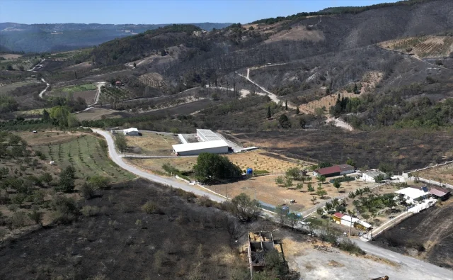 Kocaeli'de Orman Yangını Konusu: Havadan Çekilen Görüntülerle Felaketin Boyutu Ortaya Çıktı