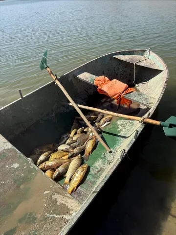 Van'da Yasa Dışı Balık Avcılığına Rekor Ceza