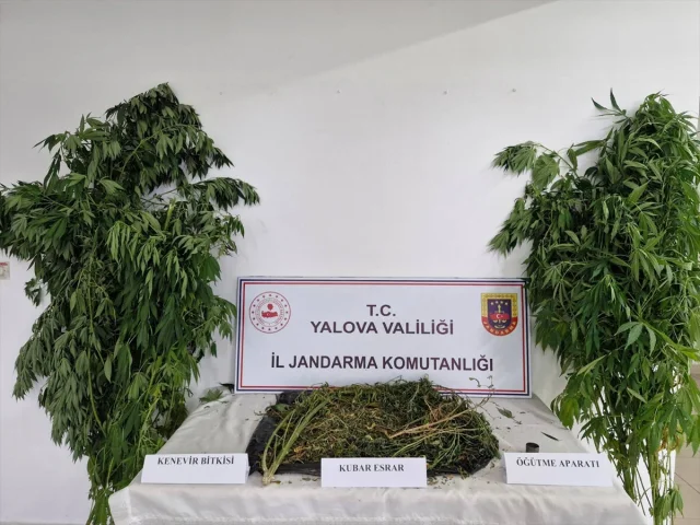 Yalova'nın Sessiz Beldelerinde Çarpıcı Uyuşturucu Operasyonu