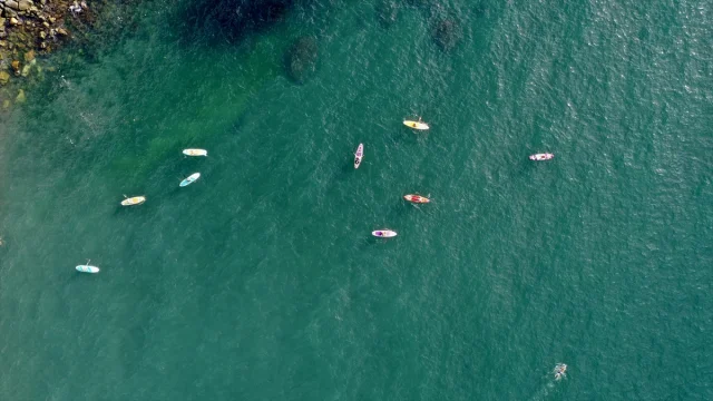 Karadeniz'in Gizemli Dalgalarının Yeni Yıldızı: Kürek Sörfü