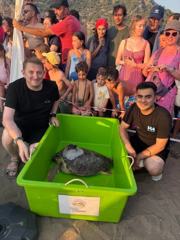 Yerli Uydu Cihazıyla Caretta Caretta Korumasında Dev Adım