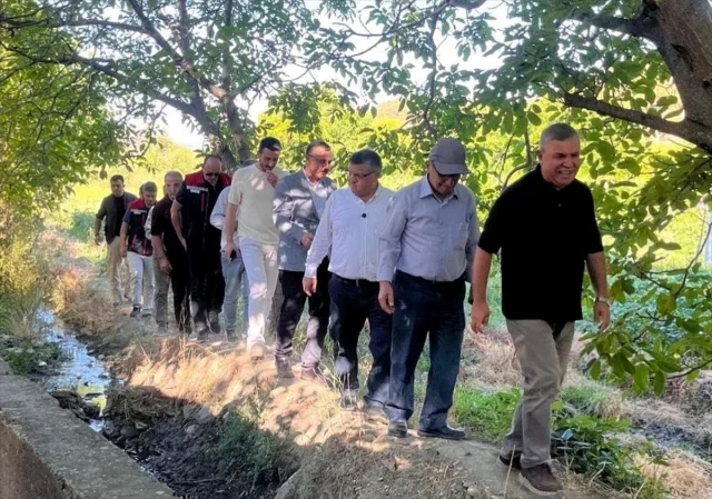 Boyabat Gazidere Domatesi Hakkında Bilmeniz Gereken Her Şey
