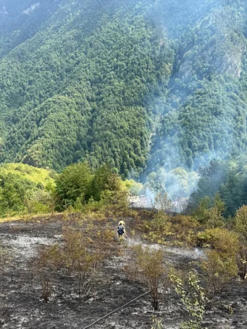 Kastamonu'da Yangın Faciası: Evden Ormana Sıçradı