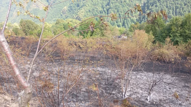 Kastamonu'da Yangın Faciası: Evden Ormana Sıçradı