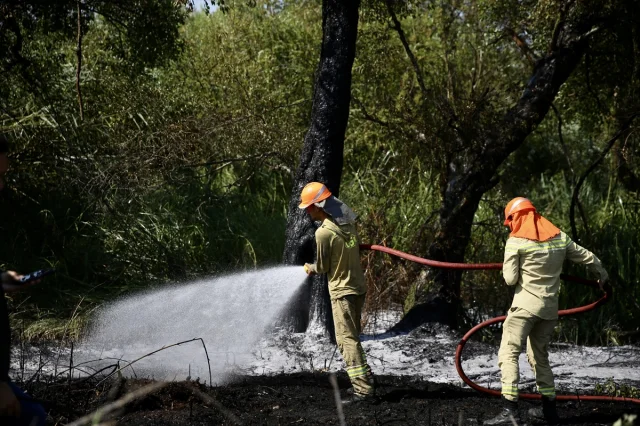 Fethiye'deki Orman Yangınına Zamanında Müdahale Kahramanlık Öyküsü