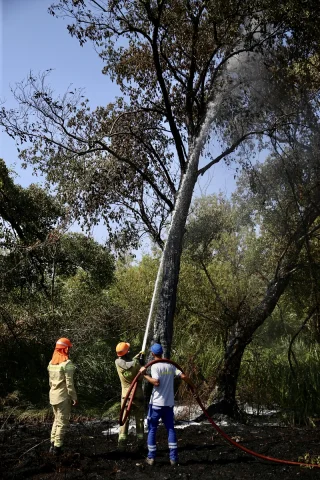 Fethiye'deki Orman Yangınına Zamanında Müdahale Kahramanlık Öyküsü