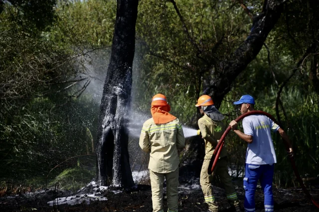 Fethiye'deki Orman Yangınına Zamanında Müdahale Kahramanlık Öyküsü