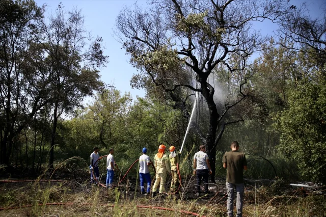 Fethiye'deki Orman Yangınına Zamanında Müdahale Kahramanlık Öyküsü
