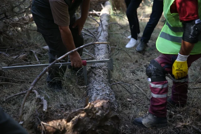 Erzurum Ormanlarında Yangın Önlemi İçin Büyük Harekat