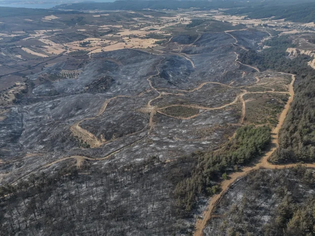 Çanakkale'deki Büyük Yangının Ardından Dronlar Ne Gösteriyor...