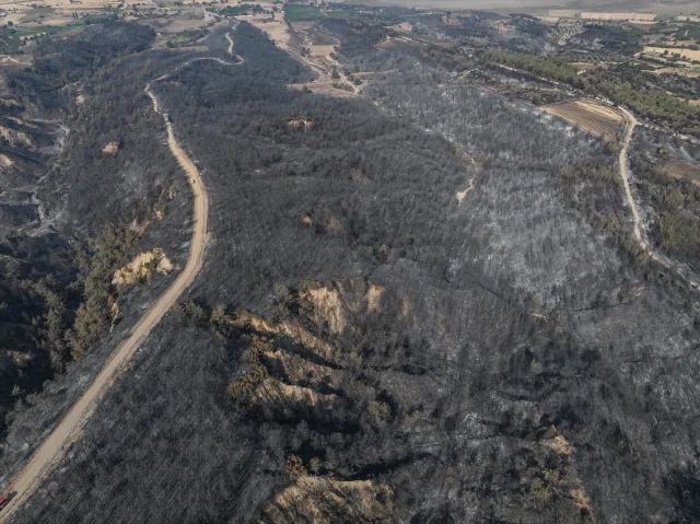 Çanakkale'deki Büyük Yangının Ardından Dronlar Ne Gösteriyor?