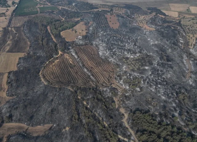 Çanakkale'deki Büyük Yangının Ardından Dronlar Ne Gösteriyor?