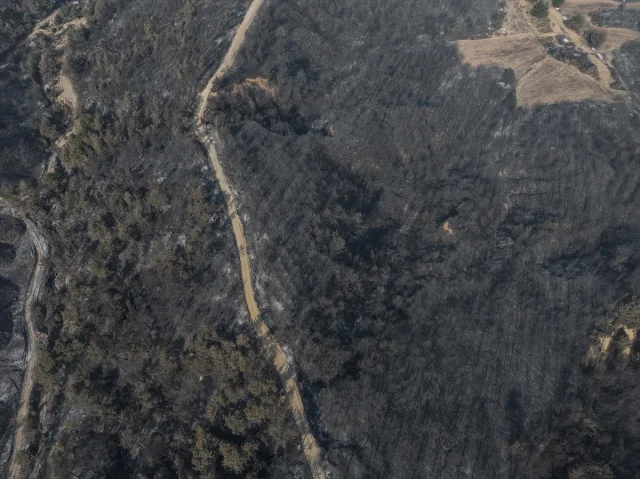 Çanakkale'deki Büyük Yangının Ardından Dronlar Ne Gösteriyor?