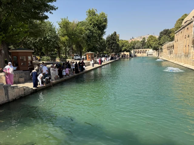 Şanlıurfa'da Sıcaklar Rekor Kırıyor: Termometreler Yandı