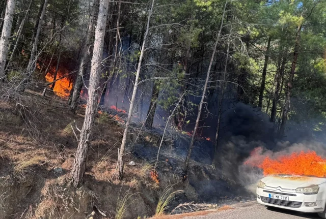 Muğla'da Kontrol Altına Alınan Yangın Neler Yaşattı