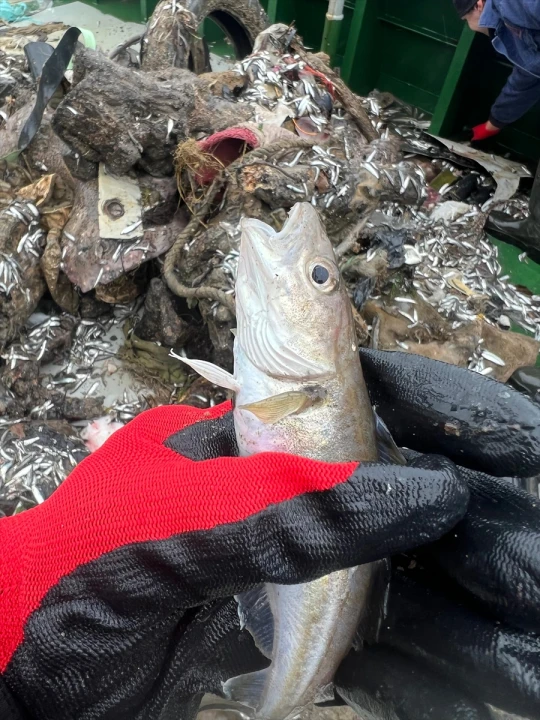 Karadeniz’de Balıkların Geleceği Tehdit Altında: Mikroplastik Alarmı