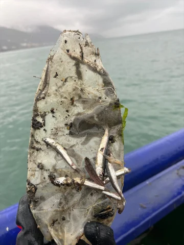 Karadeniz’de Balıkların Geleceği Tehdit Altında: Mikroplastik Alarmı