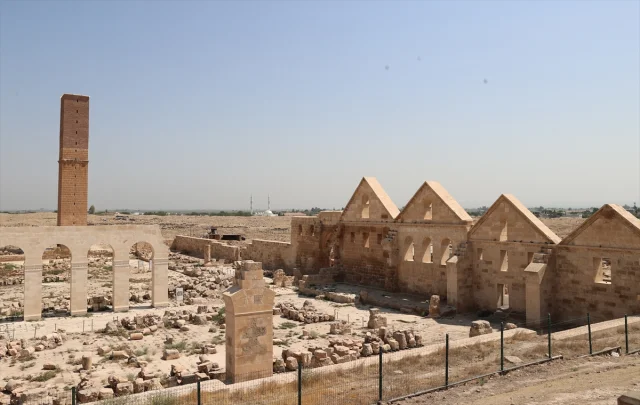 Harran'da Bulunan Tarihi Ekmek Kalıbı Sırları Ortaya Çıkardı