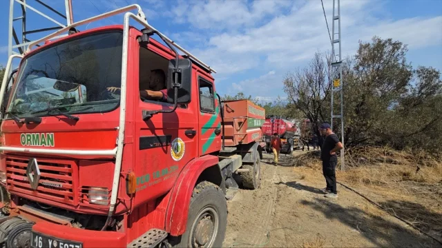 Bursa'da Büyüyen Alevler Kısa Sürede Kontrol Altına Alındı