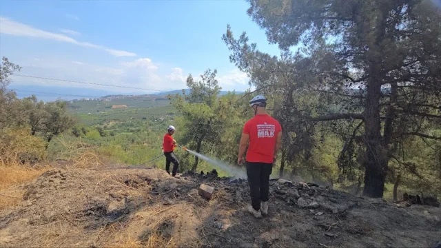 Bursa'da Büyüyen Alevler Kısa Sürede Kontrol Altına Alındı