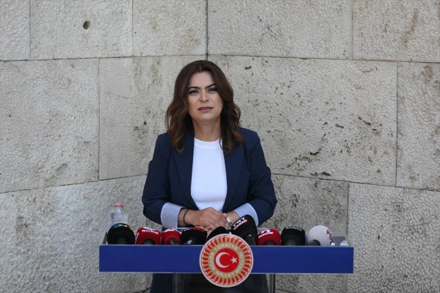 DEM Parti'nin Gündeminde Neler Var