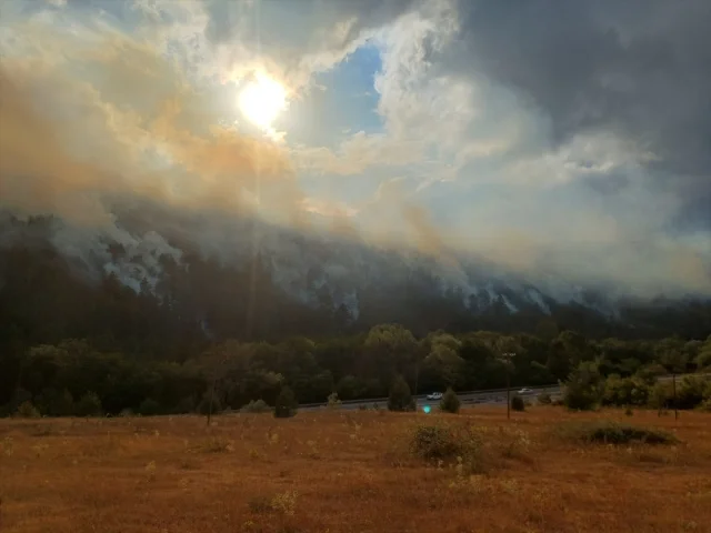 Bolu'nun Kalbinde Alevler: Orman Yangınına Müdahale Sürüyor