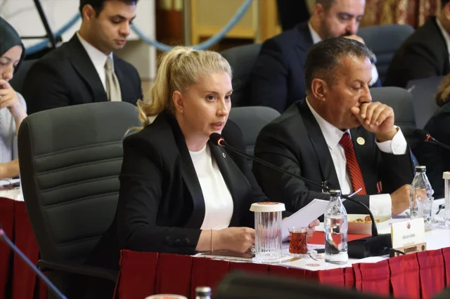 Milli Dayanışma Toplantısında Başarıyla İlerleyen Süreç