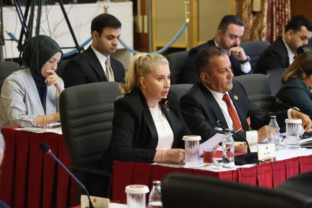 Milli Dayanışma Toplantısında Başarıyla İlerleyen Süreç