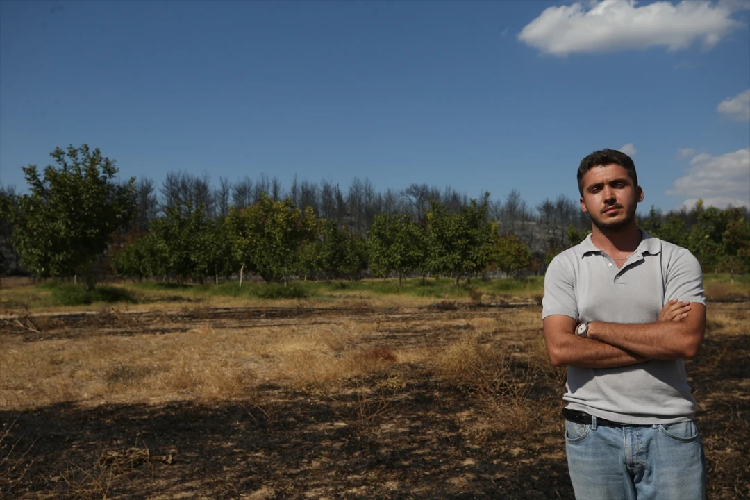 Çanakkale'deki Yangında Ceviz Bahçesi Nasıl Kurtuldu