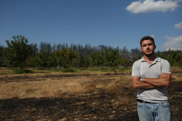 Çanakkale'deki Yangında Ceviz Bahçesi Nasıl Kurtuldu