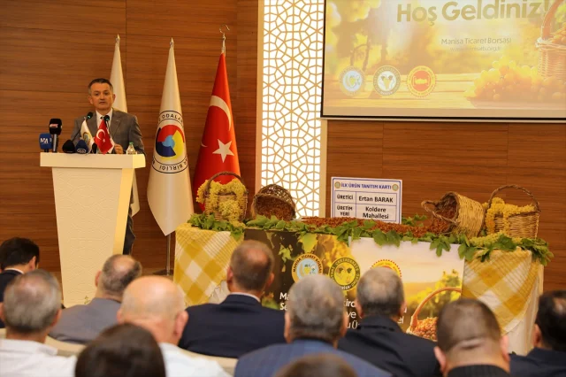 Manisa'da Kuru Üzüm Heyecanı Başladı
