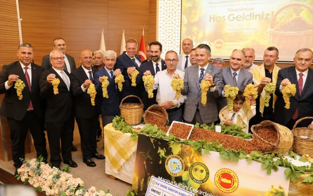 Manisa'da Kuru Üzüm Heyecanı Başladı