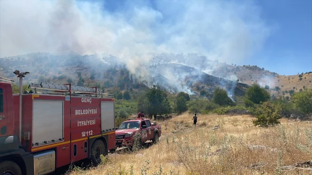 Bingöl'de Orman Yangını Sonrası Bölge Yeniden Yeşillenecek