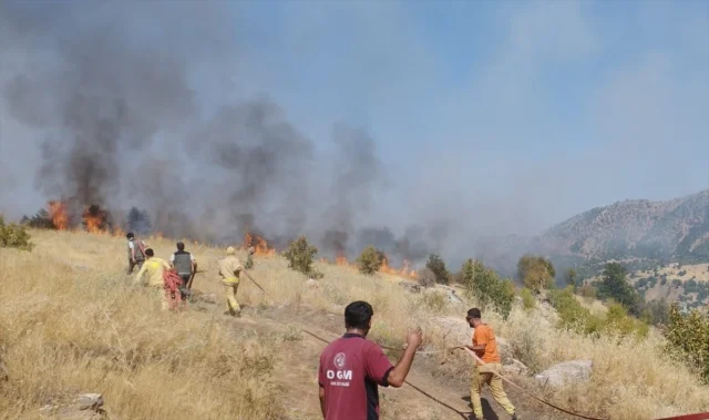 Bingöl'de Orman Yangını Sonrası Bölge Yeniden Yeşillenecek