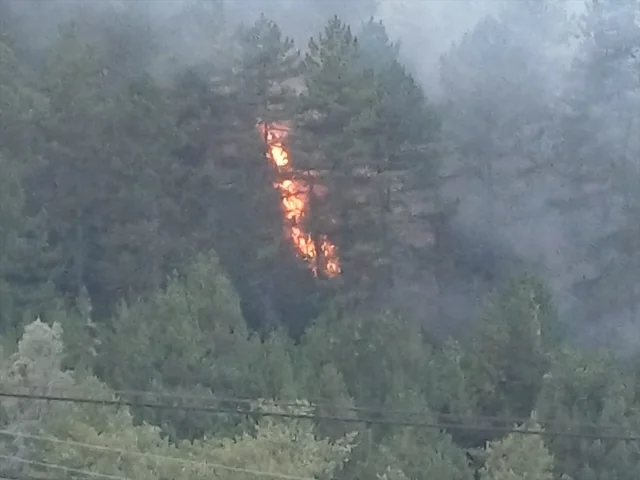 Bolu'nun Kalbinde Alevler: Orman Yangınına Müdahale Sürüyor